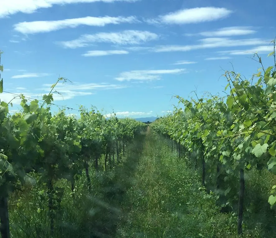מלון Soliera Le Vigne Della Duchessa Country Resort